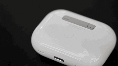 huleefox giphyupload GIF