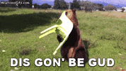 Bear Sitting GIF