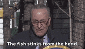 Chuck Schumer 25Th Amendment GIF by GIPHY News