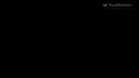Collection of Flashing Light Pack