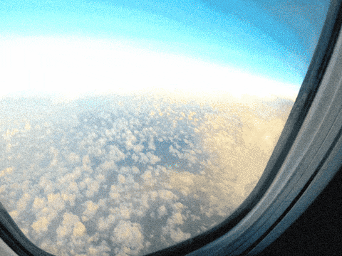 kevenreynolds giphygifmaker GIF