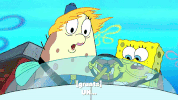 season 9 little yellow book GIF by SpongeBob SquarePants