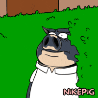 Mood Celebrating GIF by Nikepig