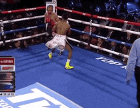 toprank fight boxing fighting espn GIF
