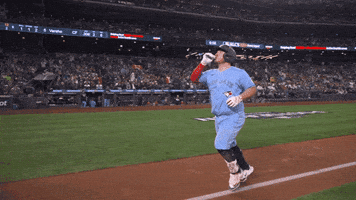 Home Run Celebration GIF by Toronto Blue Jays