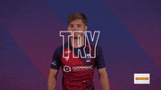 GIF by Bristol Bears