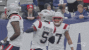 Nfl Pats GIF by New England Patriots