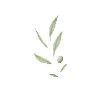 oakandstone olive farmhouse olivebranch joannagaines Sticker