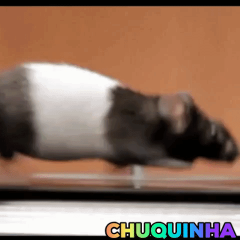 GIF by Open Kitchen