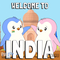 Travel Penguin GIF by Pudgy Penguins