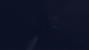 yaz tlktv GIF