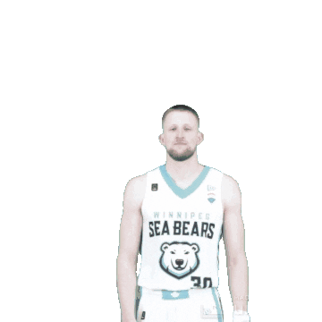 WinnipegSeaBears giphyupload Sticker