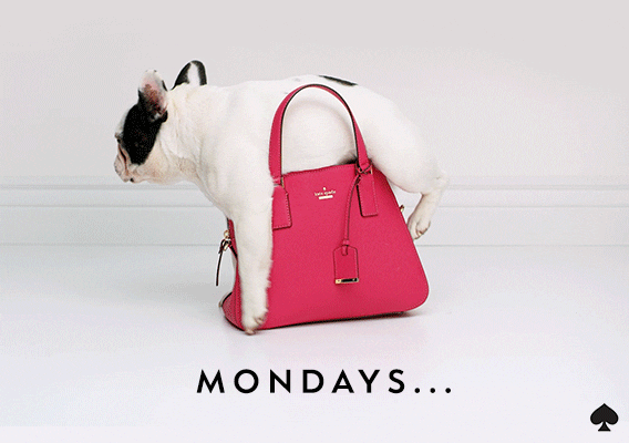 Tired French Bulldog GIF by kate spade new york