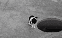 hole GIF