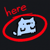 Spainnubcat GIF