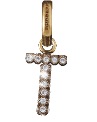 charms burberryjewellery Sticker by Burberry