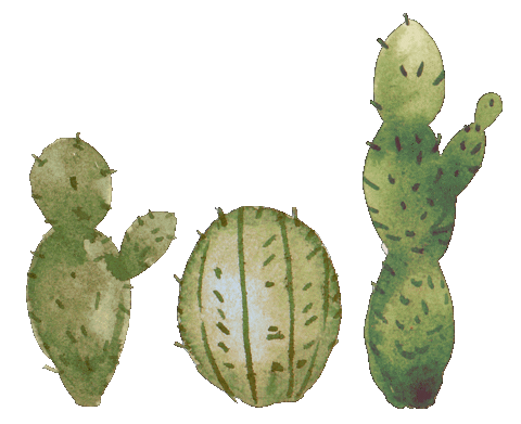 Boho Cactus Sticker