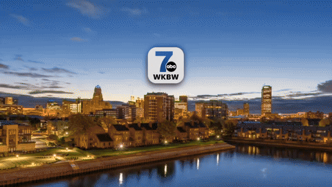 7NewsWKBW giphyupload GIF