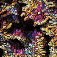 animation love GIF by POST-WEB