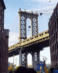 GIF by Dumbo, Brooklyn
