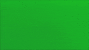 green screen wow GIF