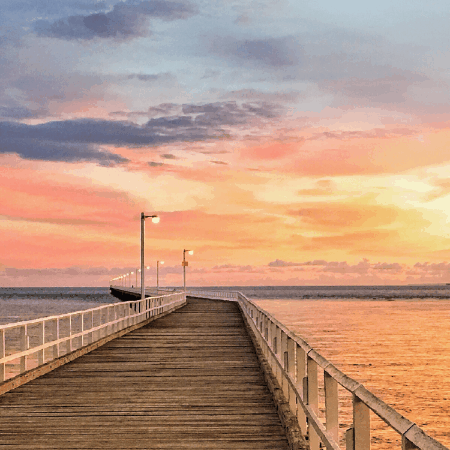 maryhuntly giphygifmaker giphyattribution GIF