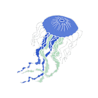 Water Swimming Sticker by DEICHBRAND Festival