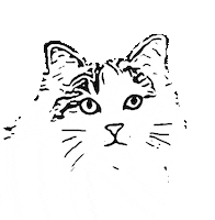 Cat Wink Sticker by OLIVIA MONTI ARDUINI