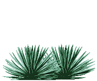 danosdangeroustequila fun pineapple dangerous agave Sticker