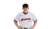Kbo Sticker by Kiwoom Heroes Baseball Club