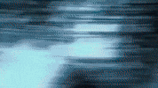 Digustedvideo GIF by Lola Brooke