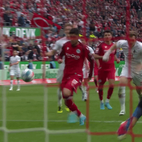 Save 1 Fc Cologne GIF by 1. FC Köln