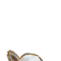 Happy Birthday Party Sticker