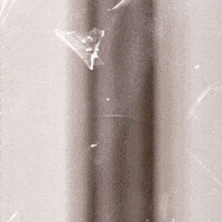 Trap Alabama GIF by New 11