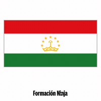 Tajikistan Flag GIF by Formación Ninja