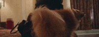 perspective GIF by Bailey Bryan