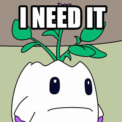 Crave I Want GIF by Magic Eden