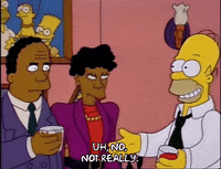 Season 2 Episode 20 GIF by The Simpsons