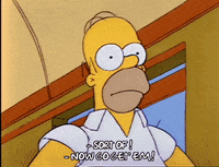 Season 2 GIF by The Simpsons