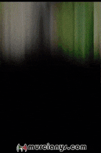 Que La Amigos GIF by Murcianys LLC