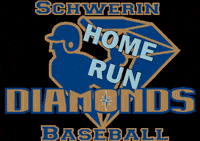 SchwerinDiamonds homerun schwerin schwerin diamonds GIF