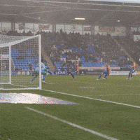 Goal GIF by Bolton Wanderers FC
