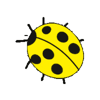 CiudadCiencia ladybug ciencia ciudad insecto Sticker