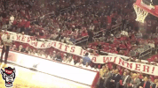 Kevin Keatts Wolfpack GIF by NC State Athletics
