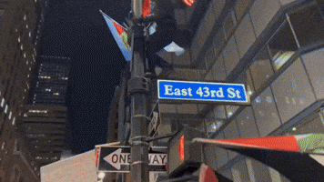 Protester Climbs Flag Pole During Palestine Demonstrations in Manhattan