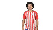 Football Soccer Sticker by Gulf United FC