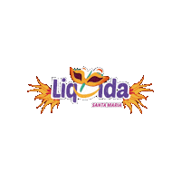 CDL_SM carnaval cdl cdlsm liquida sm Sticker
