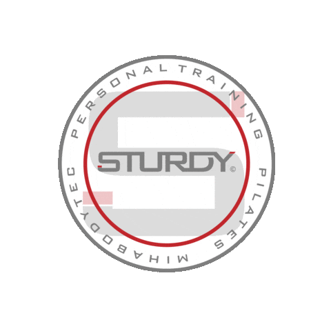 sturdypersonaltraining giphyupload training personal pilates Sticker
