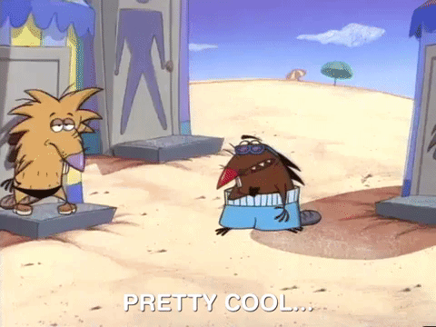 nickrewind giphydvr nicksplat angry beavers giphyab005 GIF