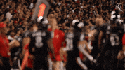 Happy College Football GIF by Cincinnati Bearcats